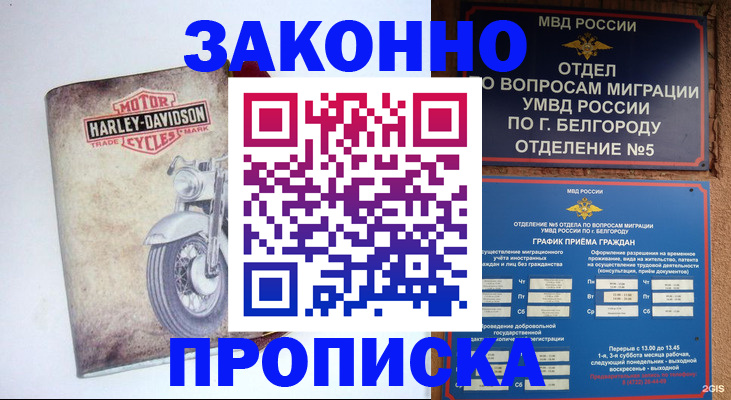 прописка для школы в Архангельской области